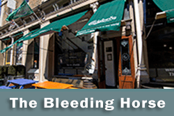 The Bleeding Horse on Dublin Sessions